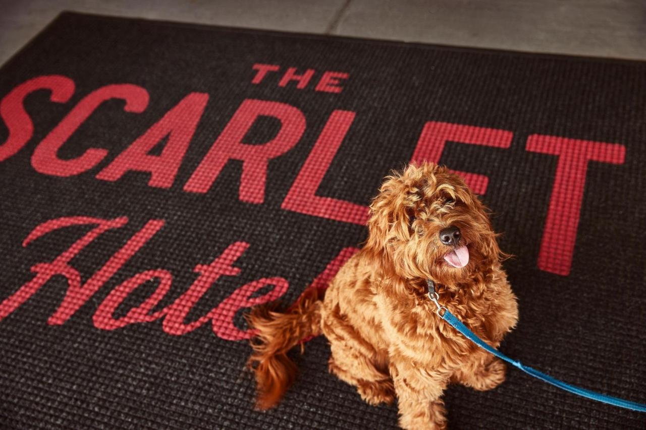 The Scarlet, Lincoln, A Tribute Portfolio Hotel Extérieur photo